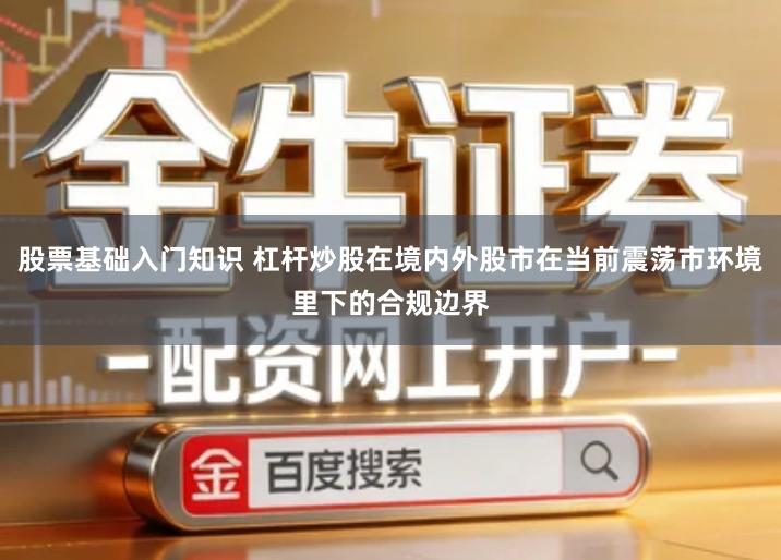 股票基础入门知识 杠杆炒股在境内外股市在当前震荡市环境里下的合规边界